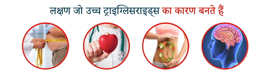 Triglycerides Meaning In Hindi Triglycerides Meaning In Hindi